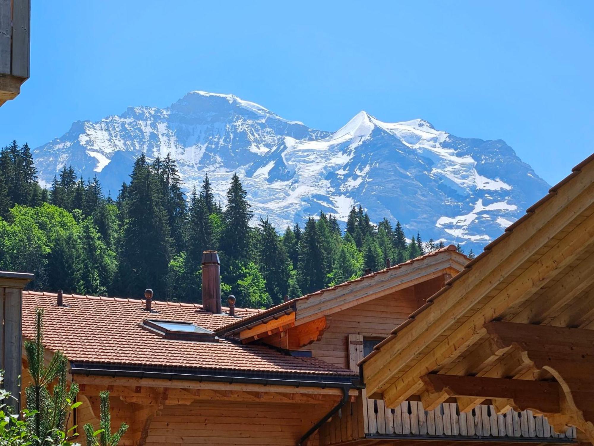 Apartment Panoramapark Soleil Haus D Apt 3 By Interhome Wengen Extérieur photo