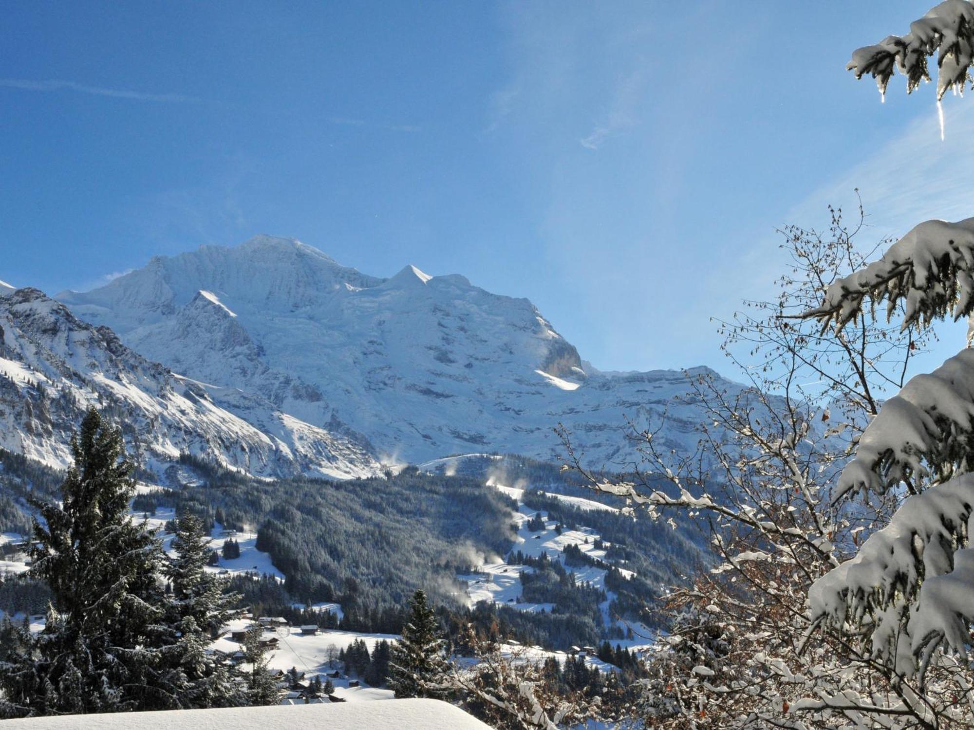 Apartment Panoramapark Soleil Haus D Apt 3 By Interhome Wengen Extérieur photo